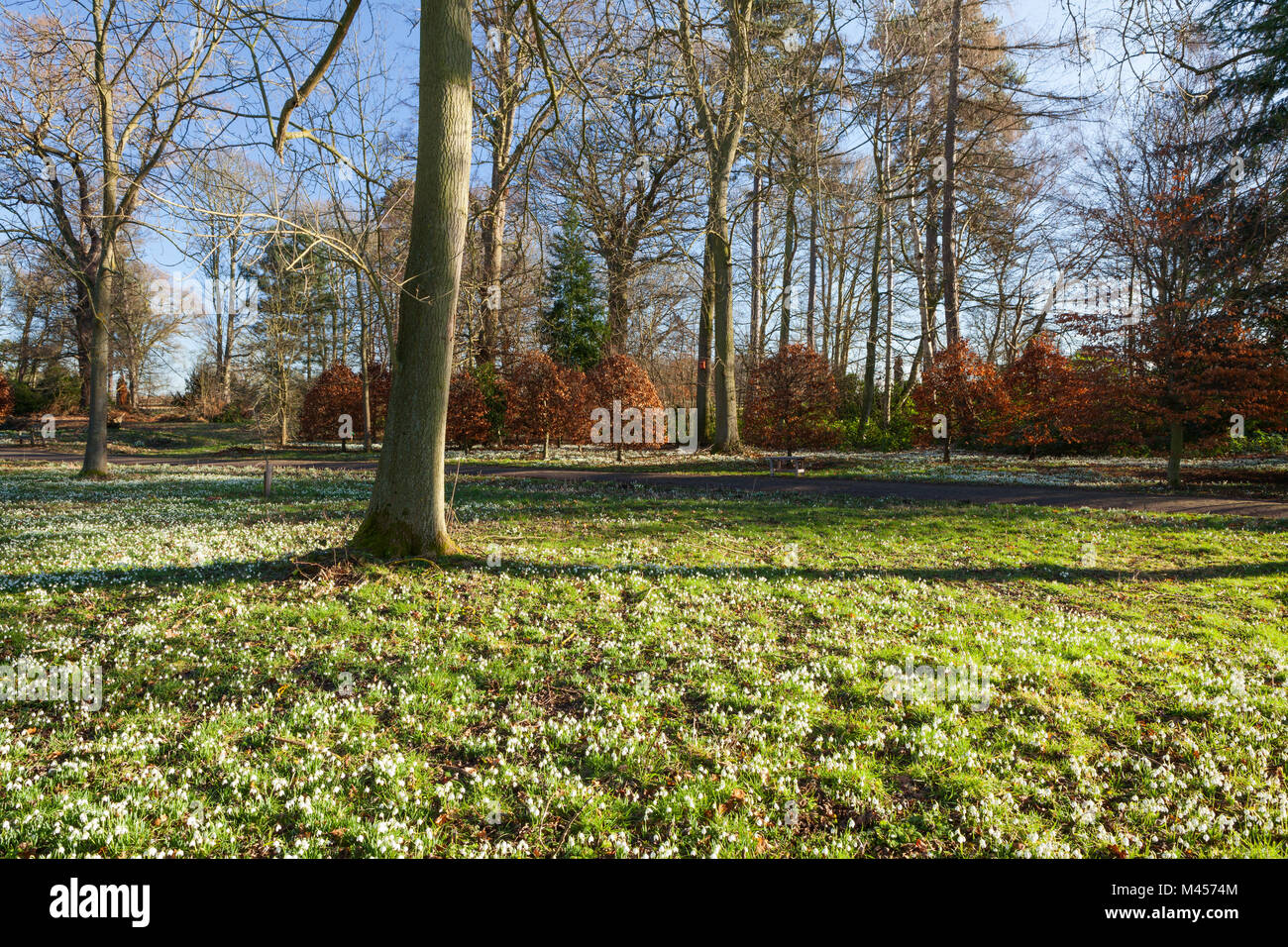 Hodsock Priory, Nottinghamshire, UK. Winter, February 2018. Stock Photo