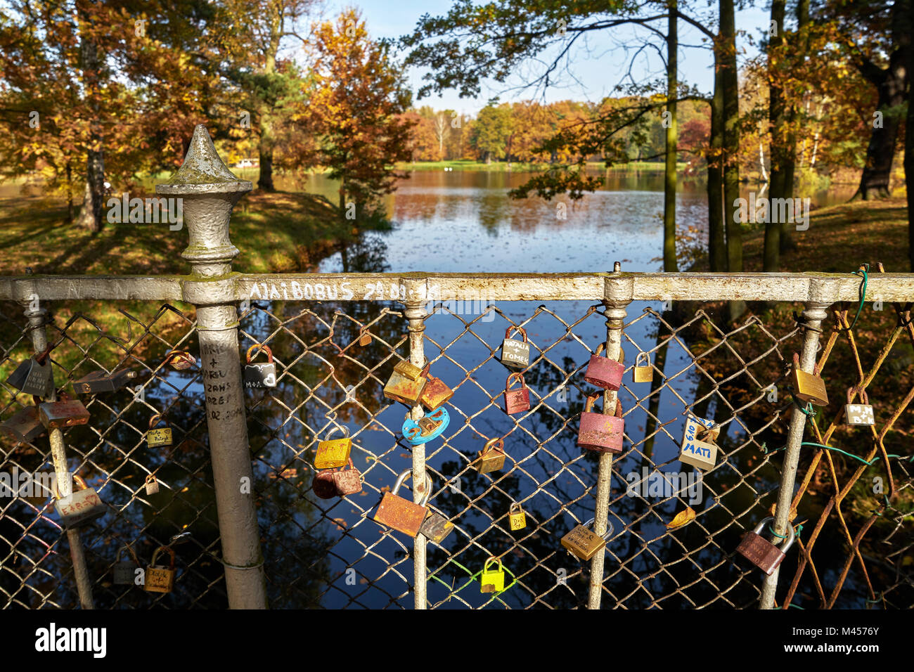 Sunny autumn landscape - park in golden colors, balustrade on the bridge of love decorated with padlocks of couples in love, in the background a pond Stock Photo