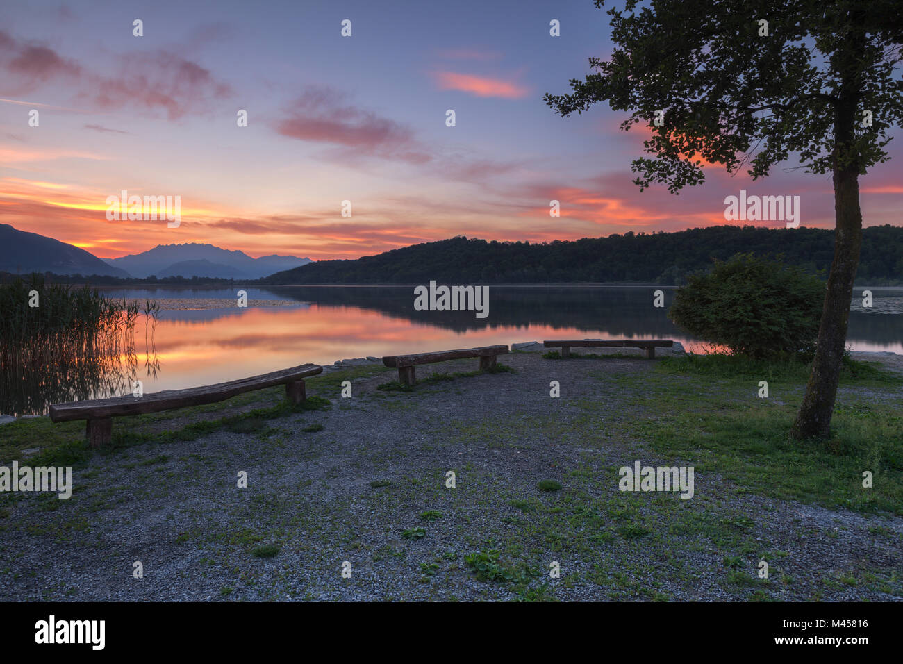 Sunrise on lake Alserio, Alserio, Como province, Brianza, Lombardy, Italy, Europe Stock Photo