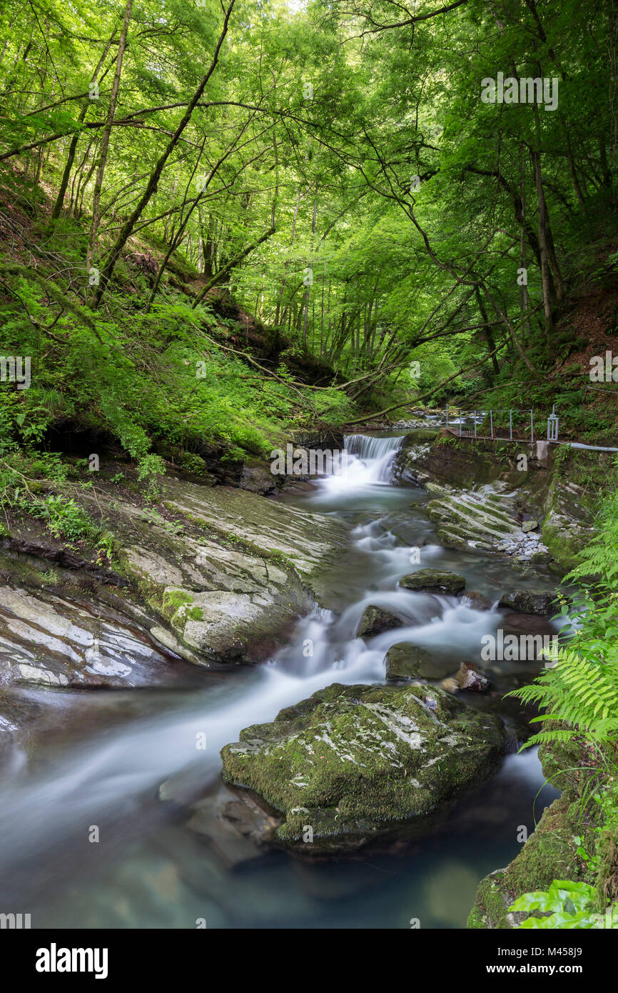 The river Breggia at the Bruzella mill, Muggio Valley, Mendrisio District, Canton Ticino, Switzerland. Stock Photo