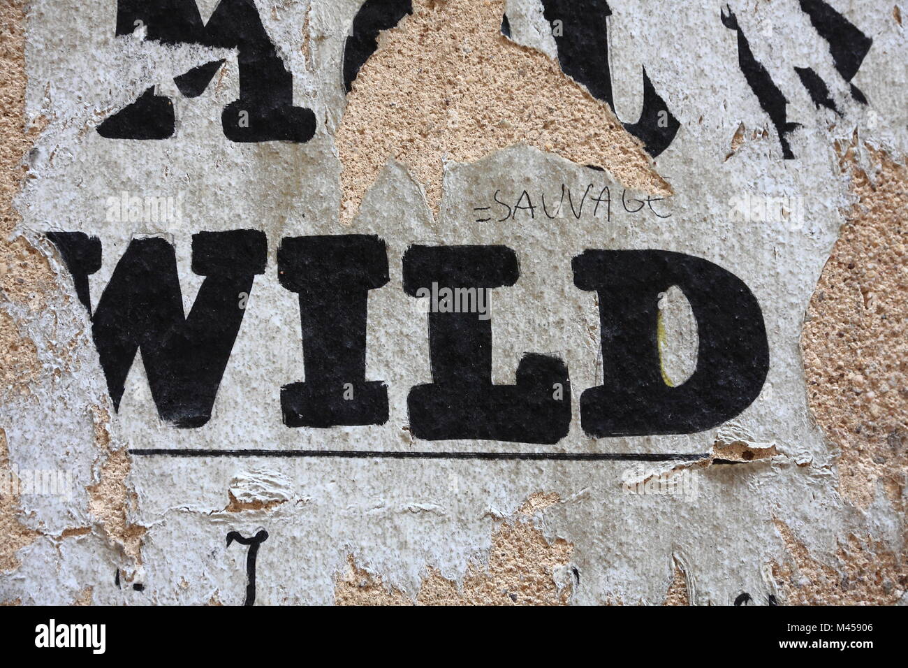Wild meaning sauvage Stock Photo