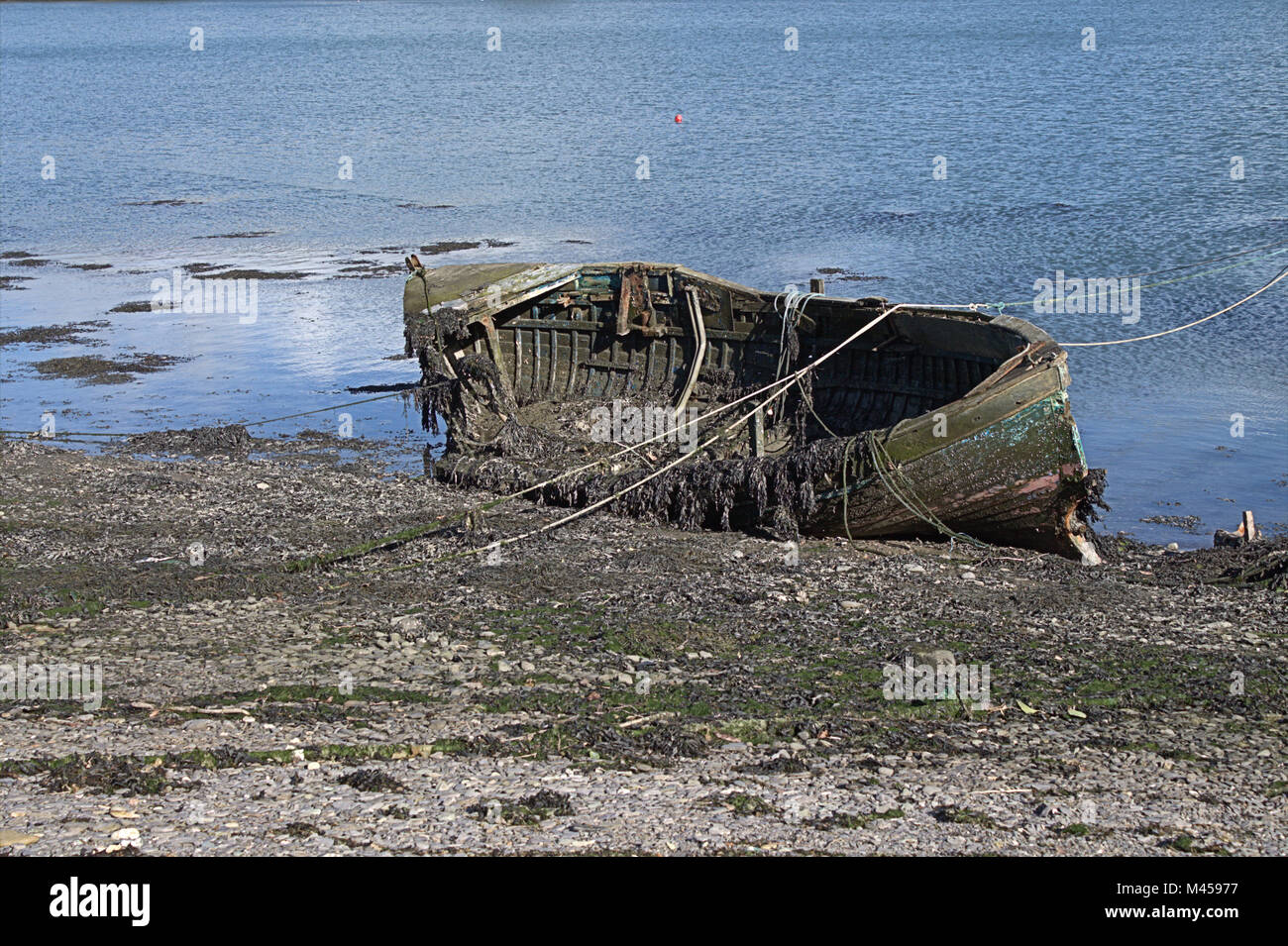 Badly Wrecked wooden fishing boat abandoned covered in sea weed and rotting away on the beach. Stock Photo
