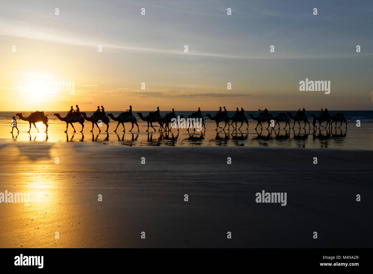 Cable beach australia camels High Resolution Stock Photography and ...
