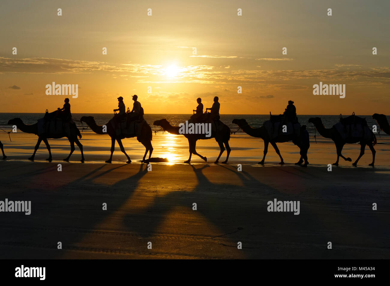 Australia camels hi-res stock photography and images - Alamy