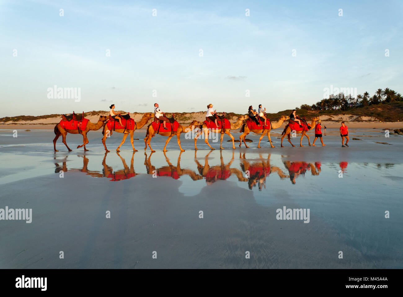 Cable beach australia camels High Resolution Stock Photography and ...