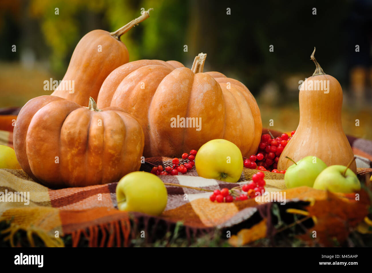 Autumn thanksgiving still life Stock Photo