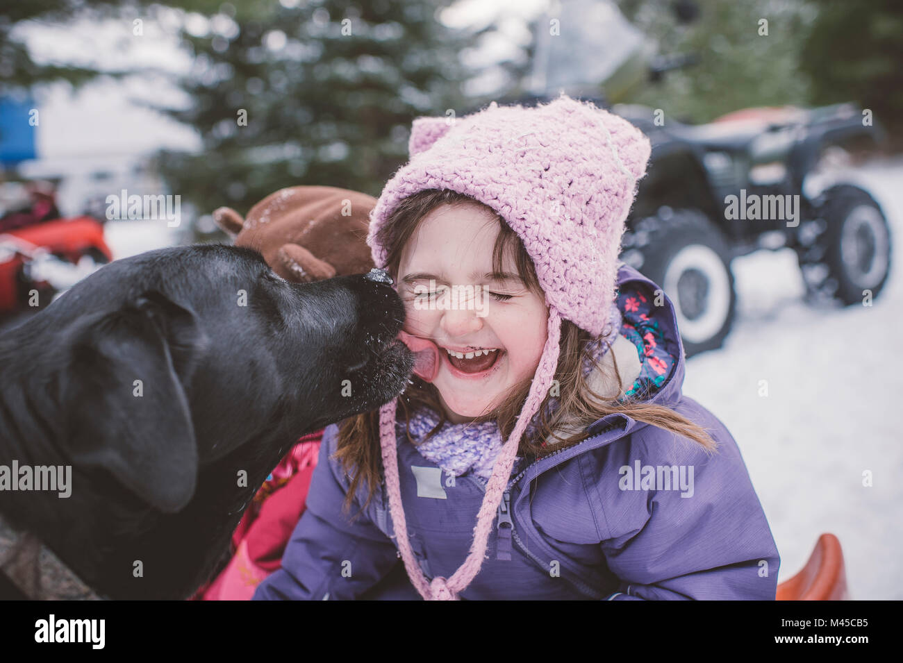 Why Do Dogs Lick Babies Face