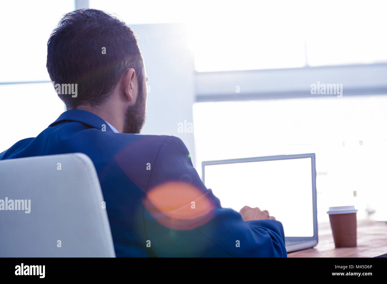 Rear view of male professional working on laptop Stock Photo - Alamy