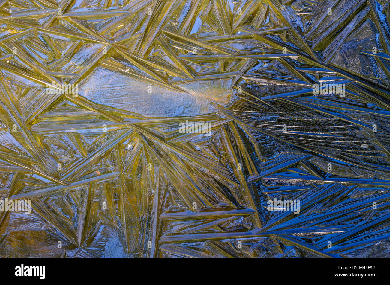 Discover Ferris Lake Wild Forest A Haven for Nature and Recreation