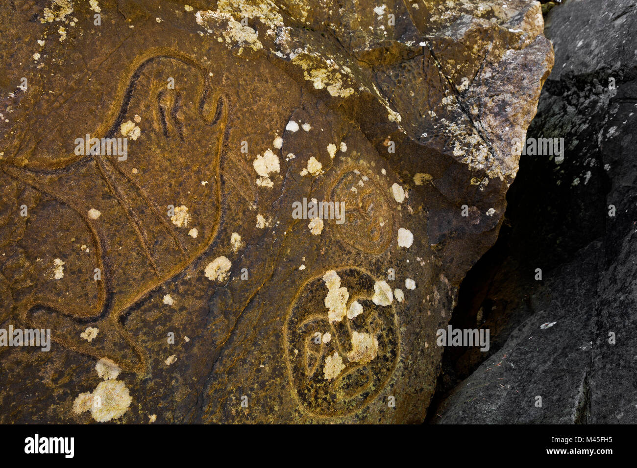 WA13433-00...WASHINGTON - Native American petroglyphs depicting a whale and two faces along the Pacific Coast at Wedding Rock om Olympic View Drive. Stock Photo