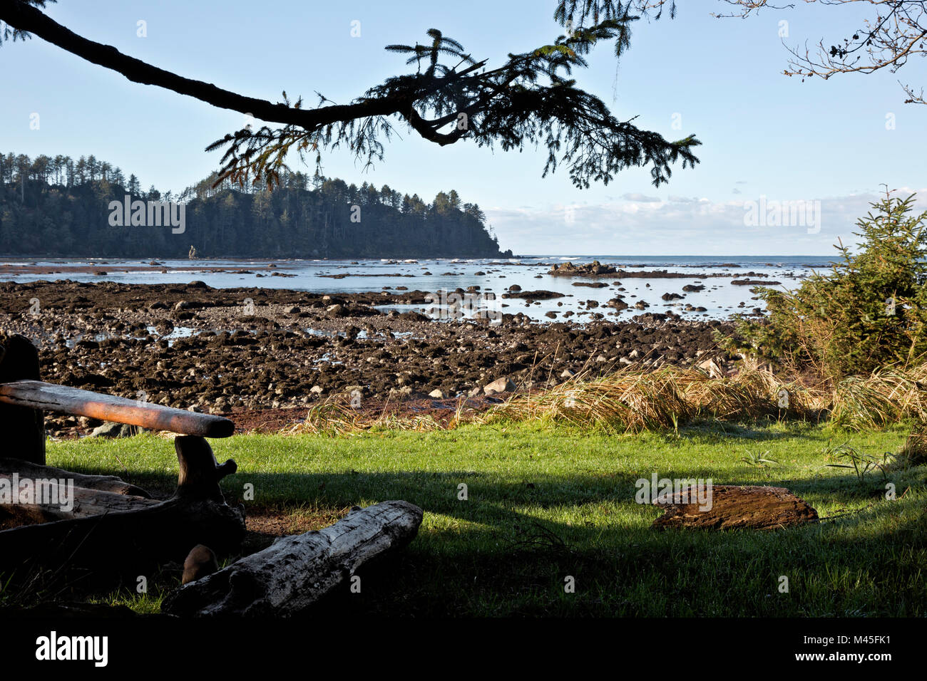 WA13437-00...WASHINGTON - Grassy backcountry campsite overlooking the Pacific Ocean at Cape Alava in Olympic National Park. Stock Photo
