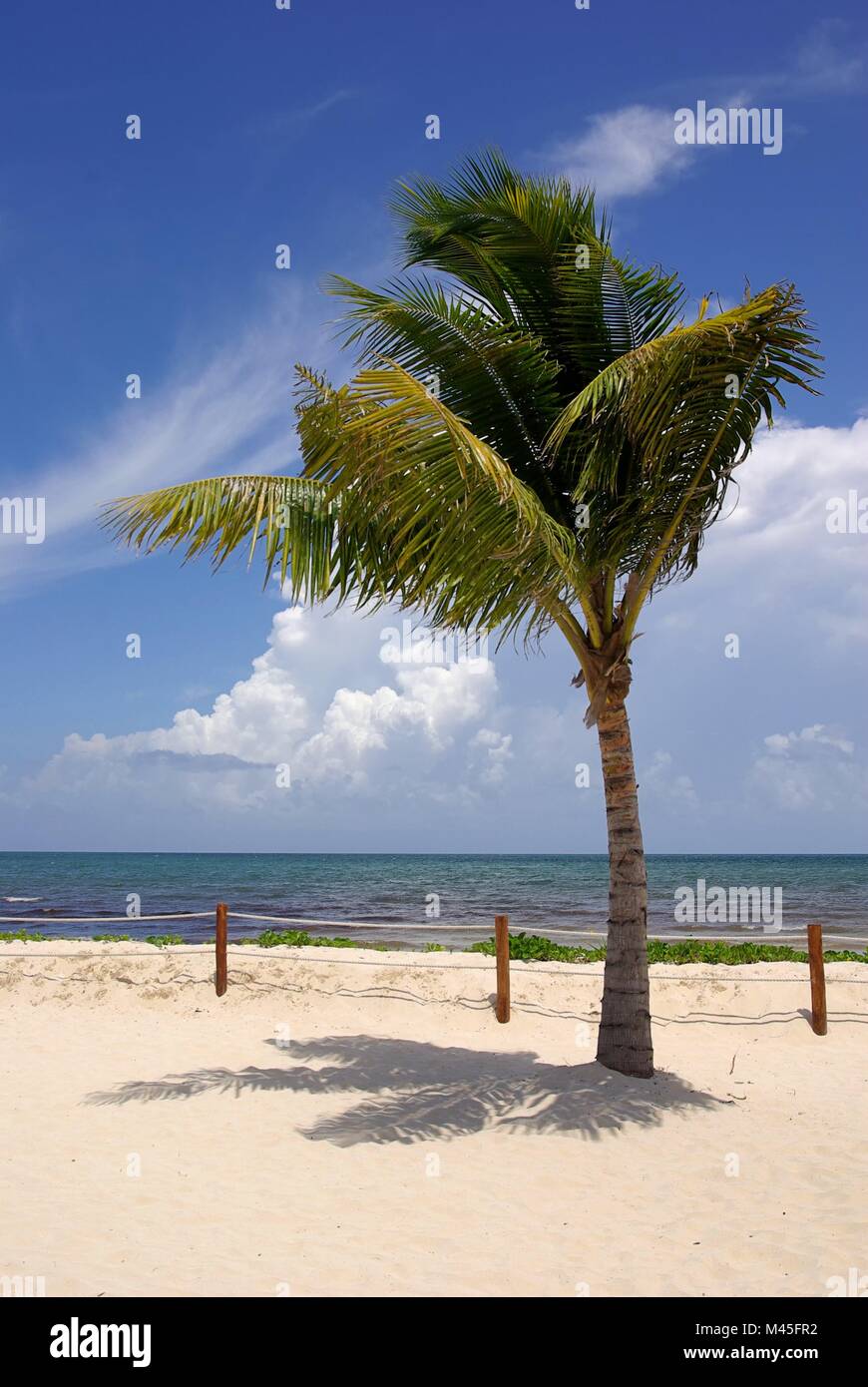 Warm tourism tropical bay beach hi-res stock photography and images - Alamy