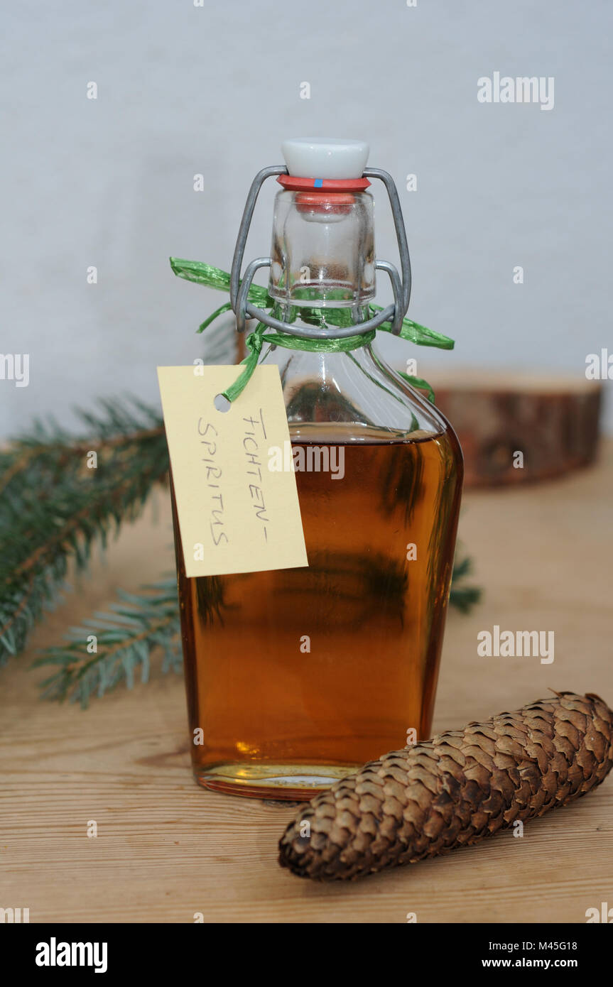 Picea abies, Spruce, alkohol made of spruce sprouts Stock Photo