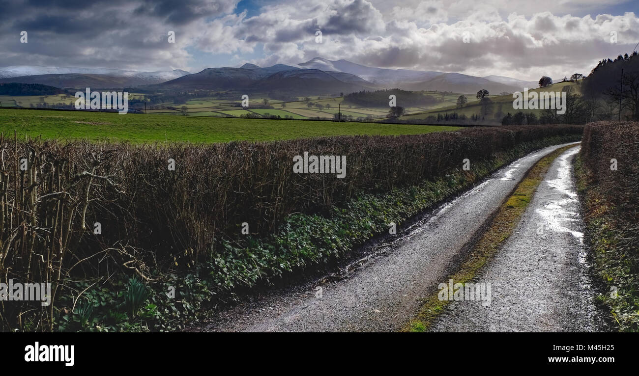 country camo air max 97