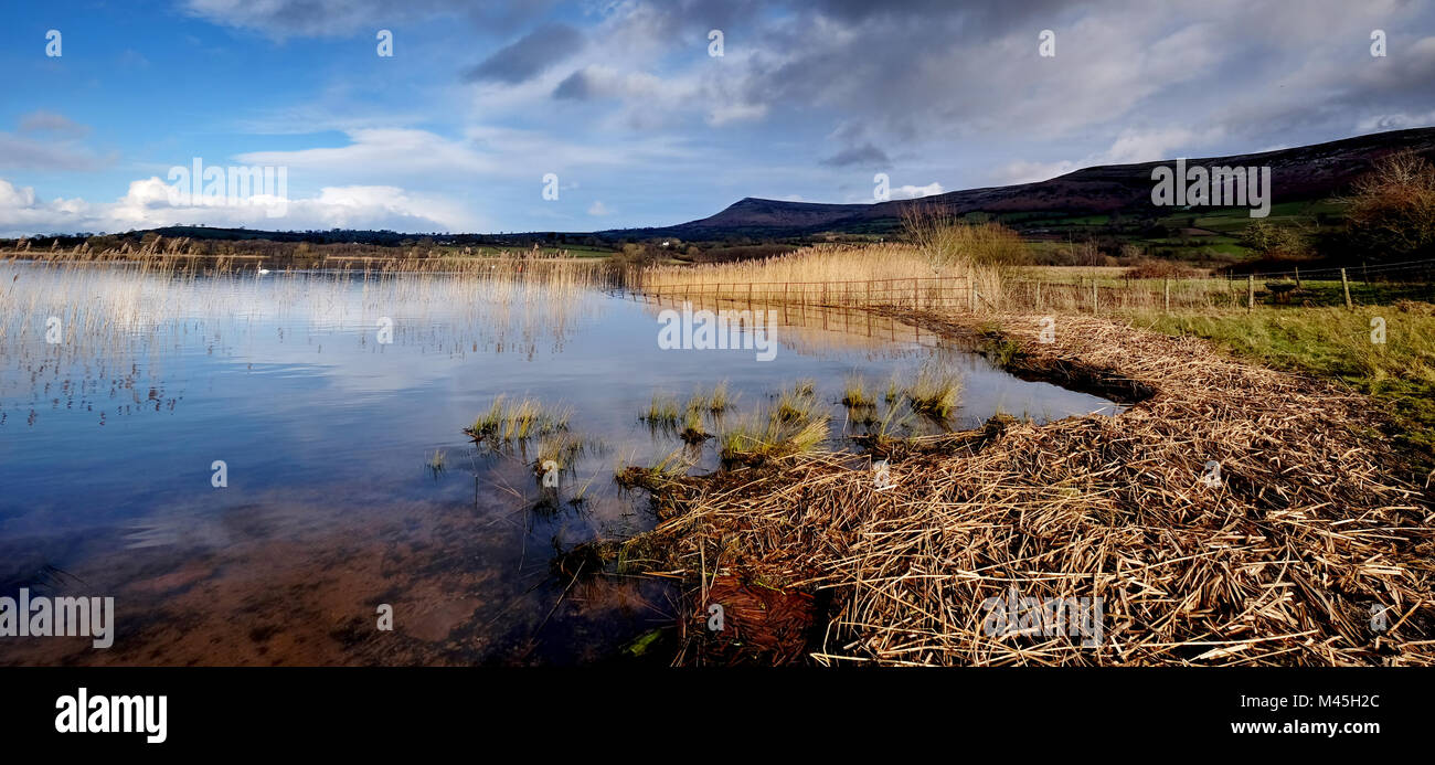 Llangorse Lake, Brecon Beacons Stock Photo Alamy