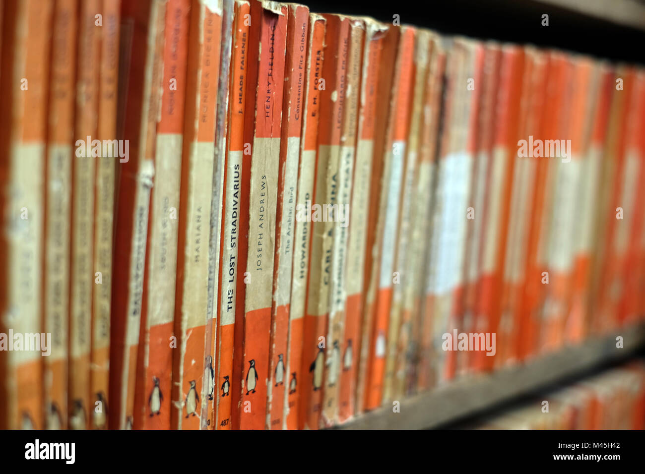 Penguin books for sale in a second-hand bookshop Stock Photo