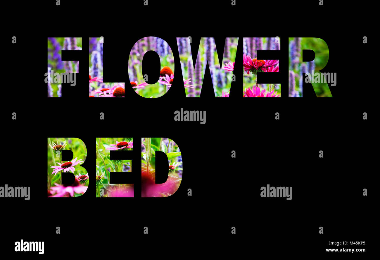 Flowerbed. Stock Photo