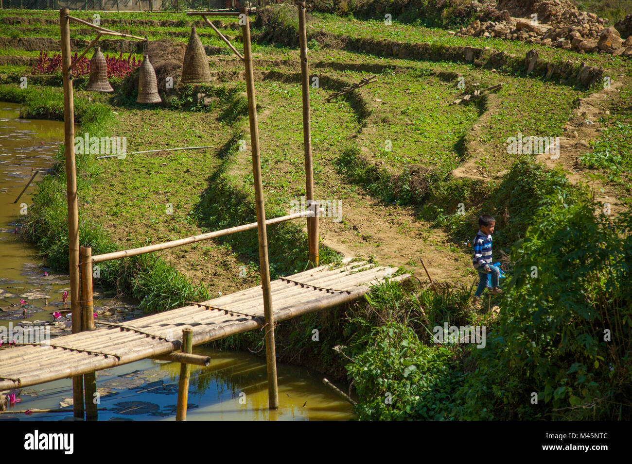 rice fields and fishing in Cat Cat Village in the valley of Sapa Vietnam Stock Photo
