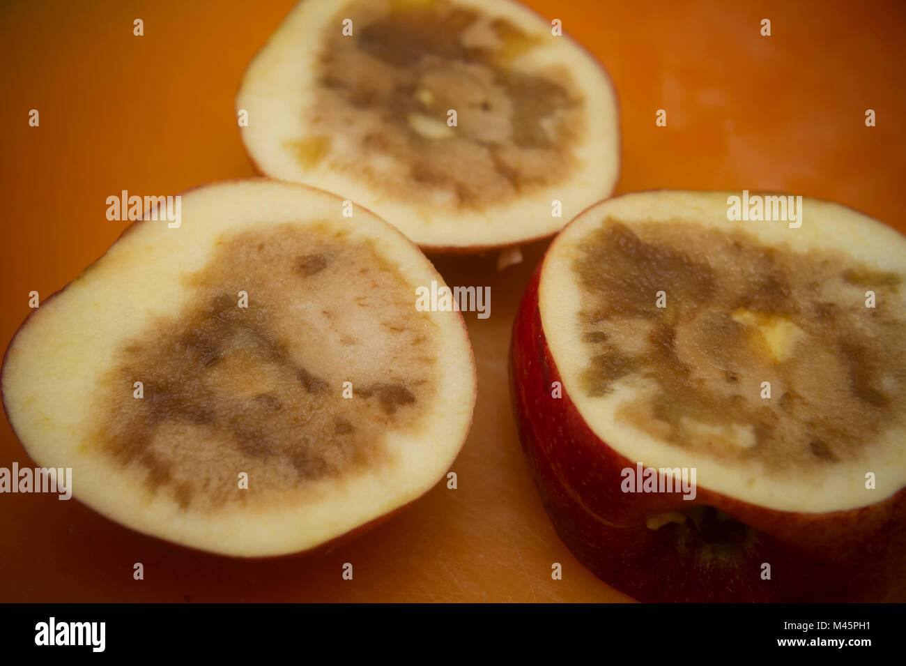 An apple cut open reveals the presence of core rot, seen in New York on Sunday, February 11, 2018  (Â© Richard B. Levine) Stock Photo