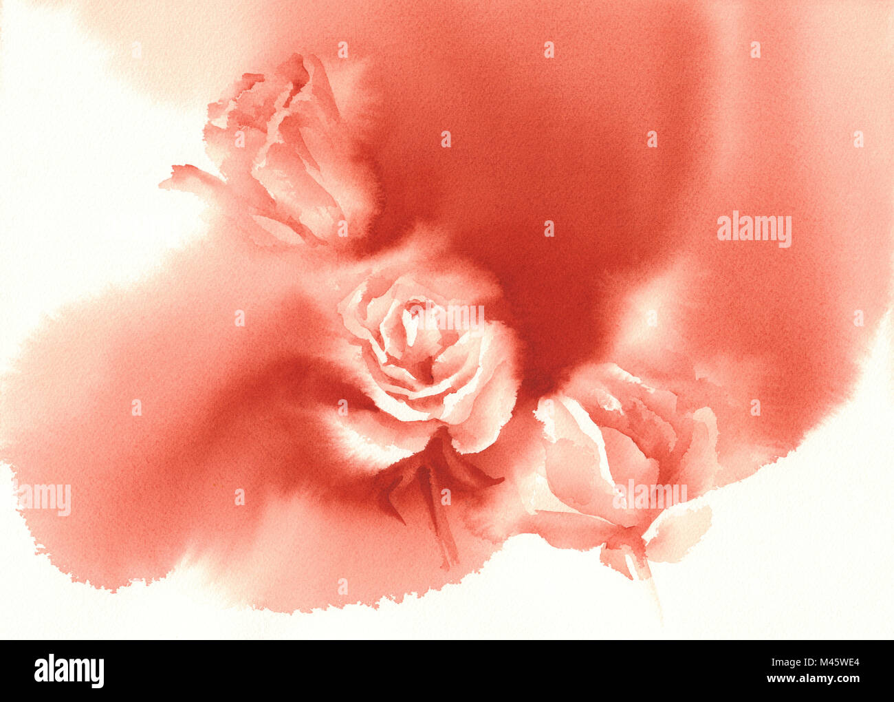 red roses white background watercolor Stock Photo - Alamy