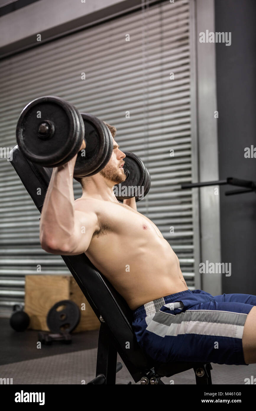 Shirtless man lifting heavy dumbbells on bench Stock Photo Alamy