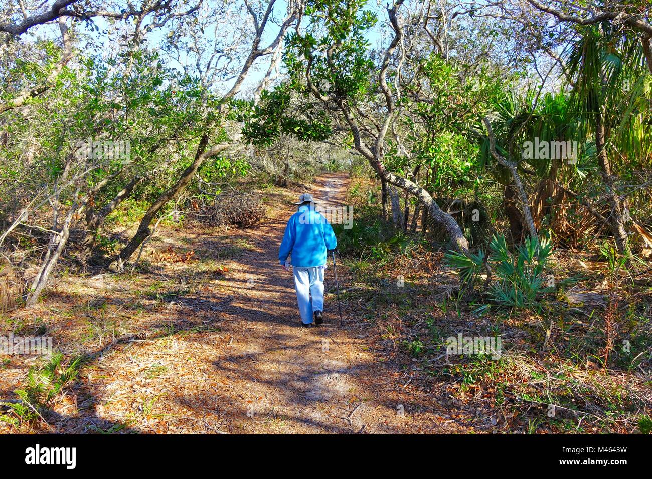 Woman hiking on the Coastal Strand trail in North Peninsula State Park