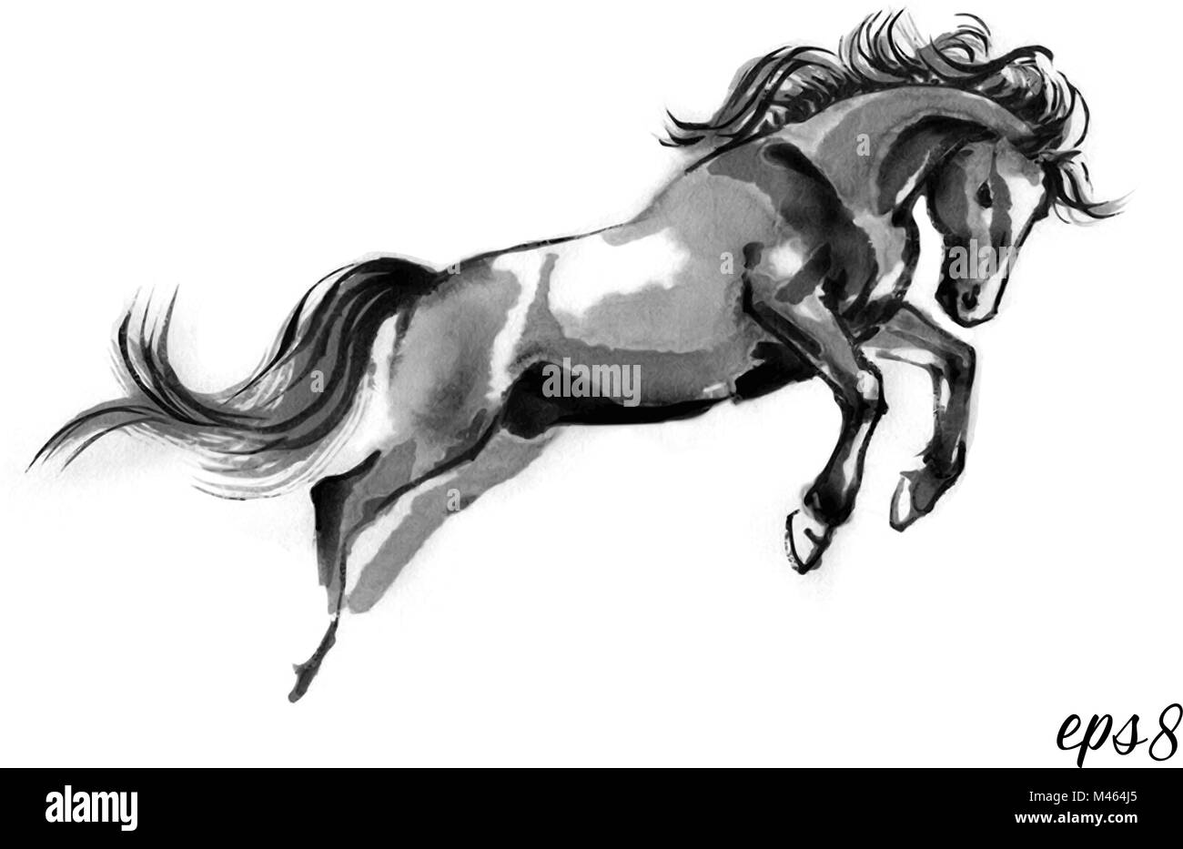 Sumi-e vector illustration of a leaping horse, moving to the right. Oriental ink painting, isolated on white background. Stock Vector