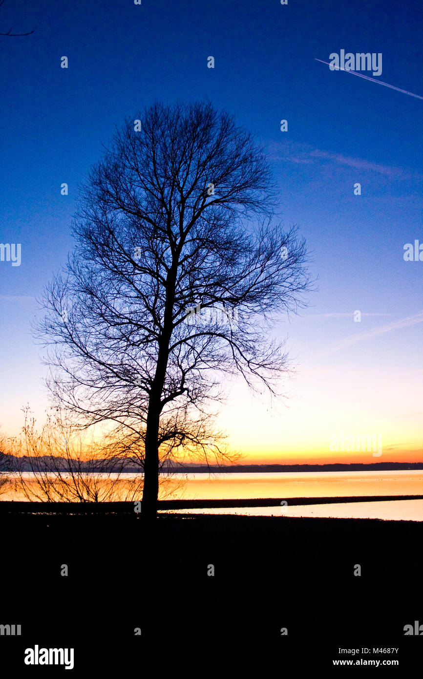 Baum-Silhouette am See, Abendrot Stock Photo