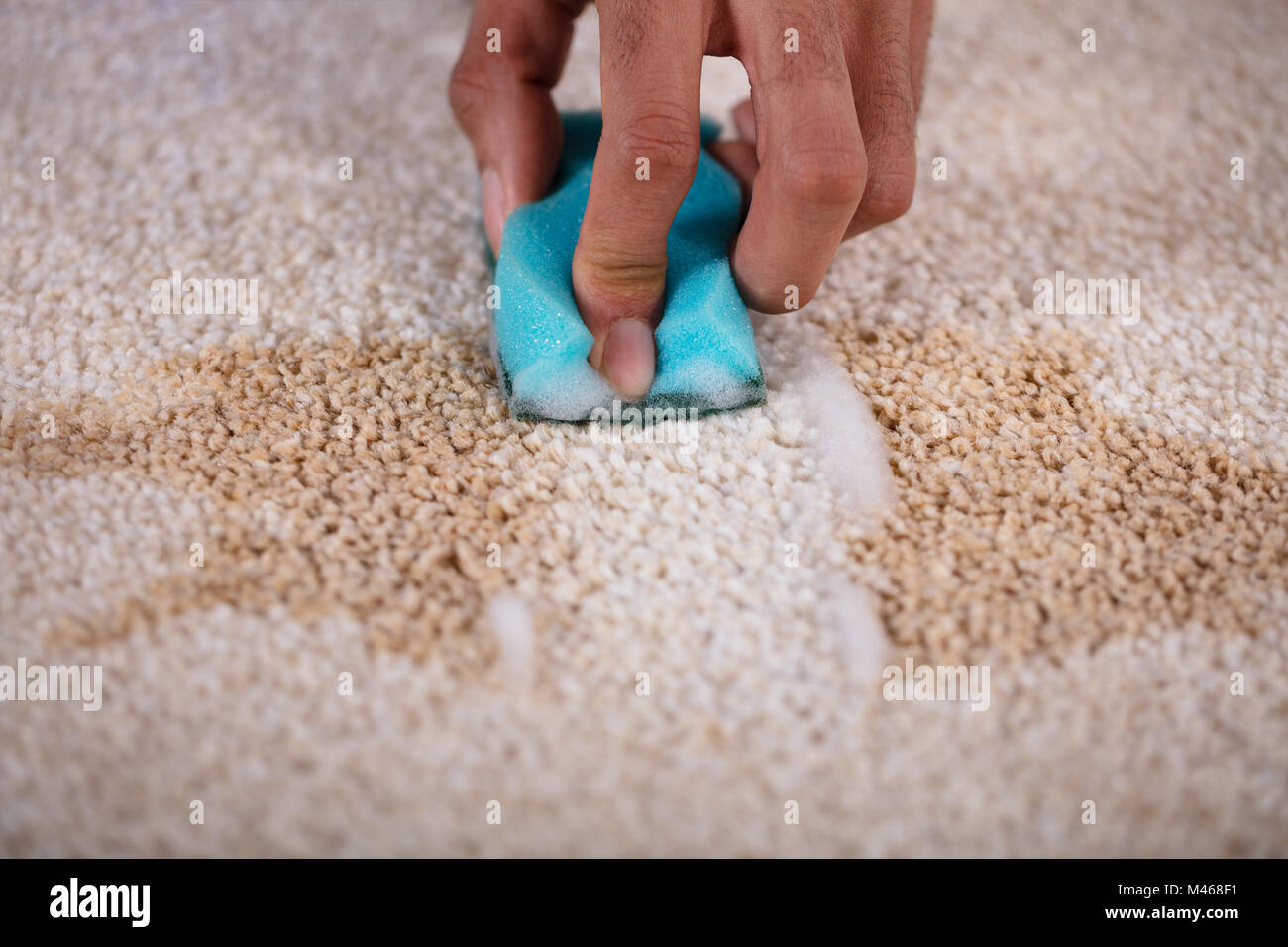 Janitor Cleaning Stain On Carpet With Sponge Stock Photo Alamy