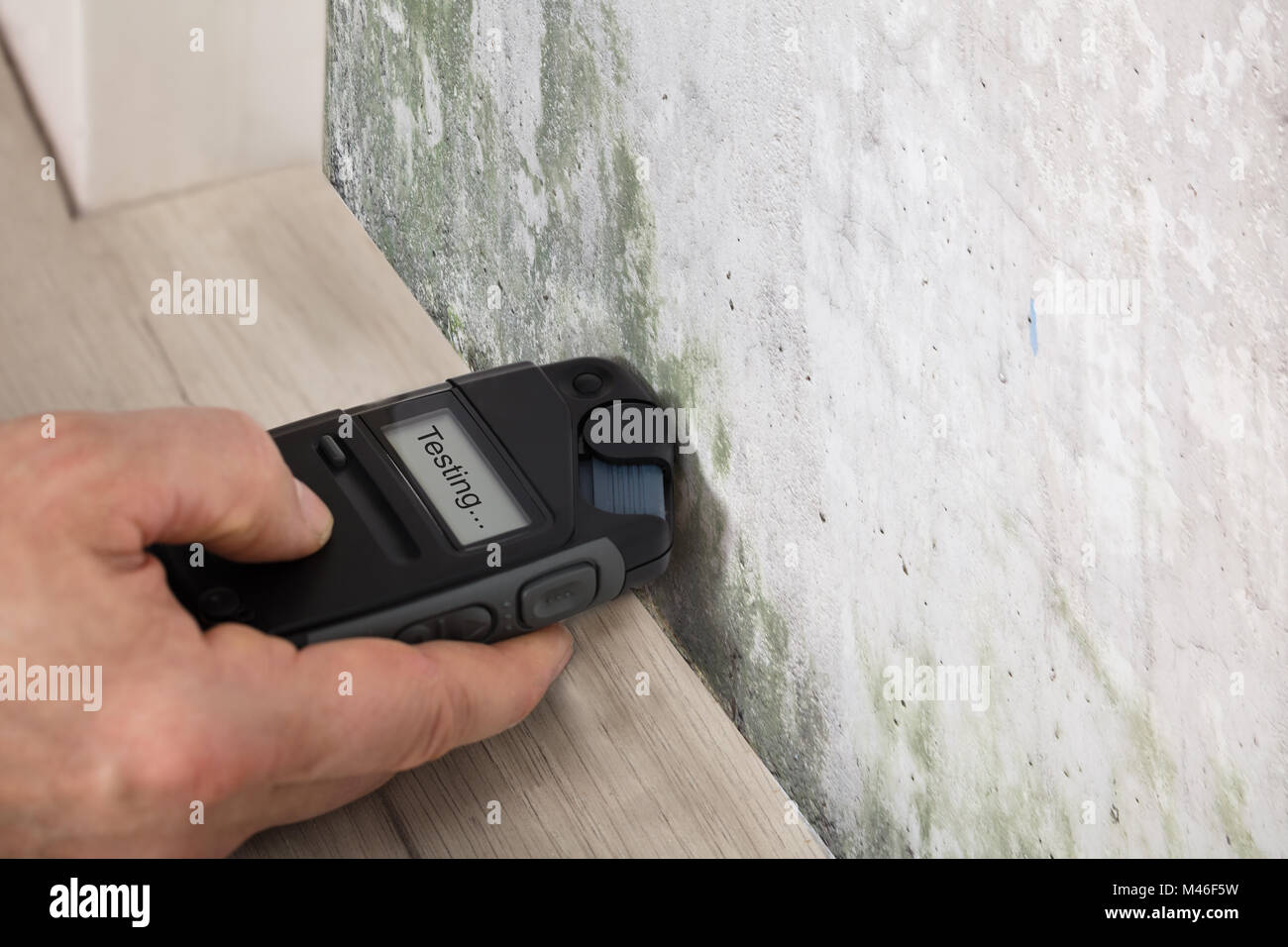 Person Hand Measuring The Wetness Off A Moldy Wall Stock Photo