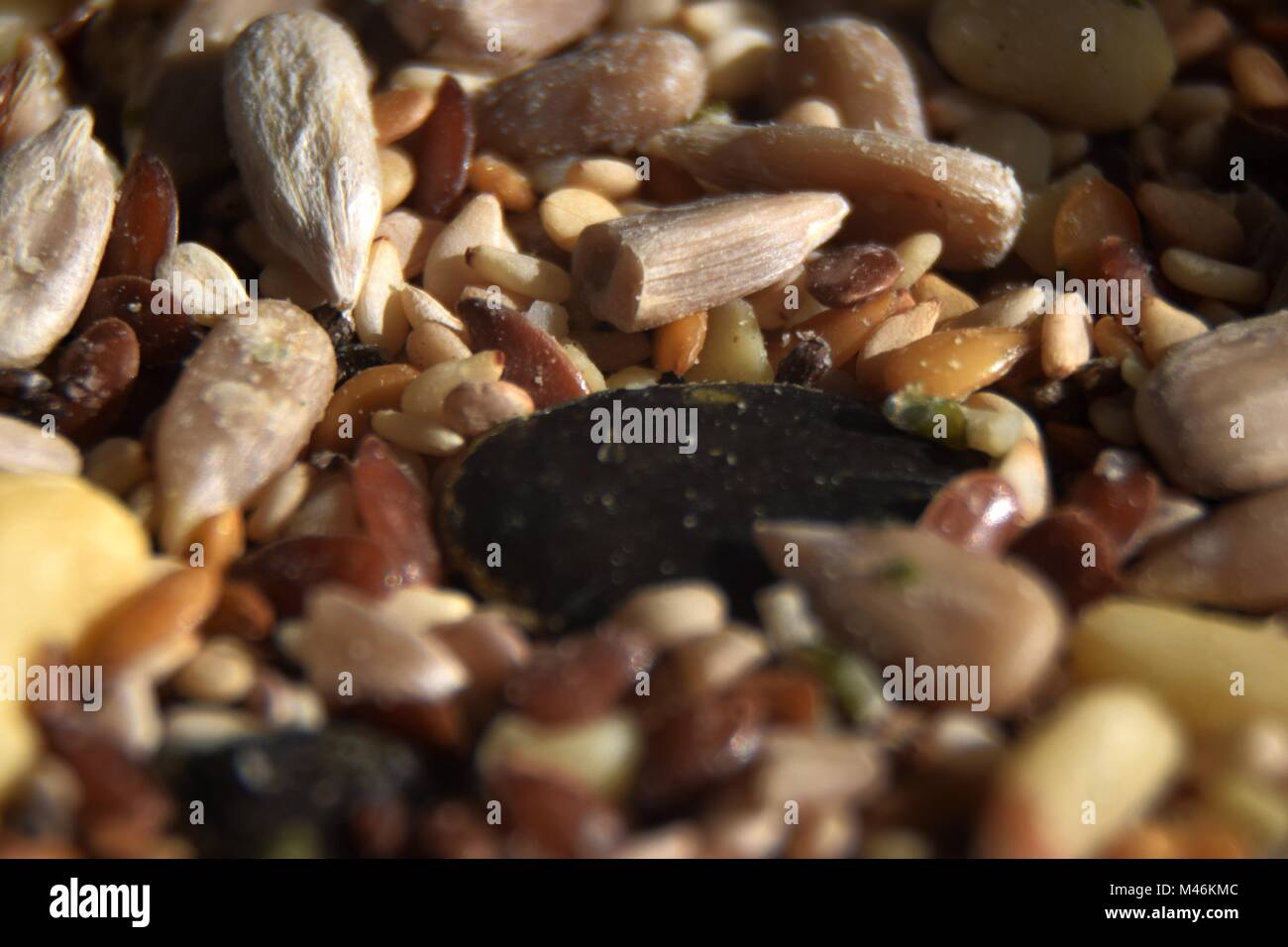 Variety of seeds for salad Stock Photo Alamy