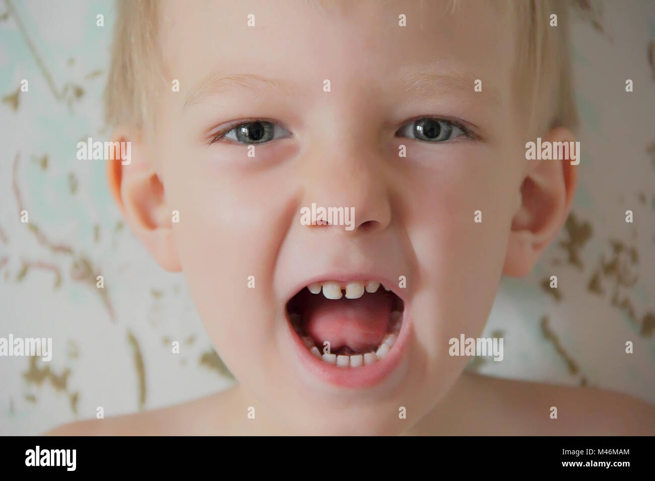 Portrait of cute boy with blue eyes Stock Photo Alamy