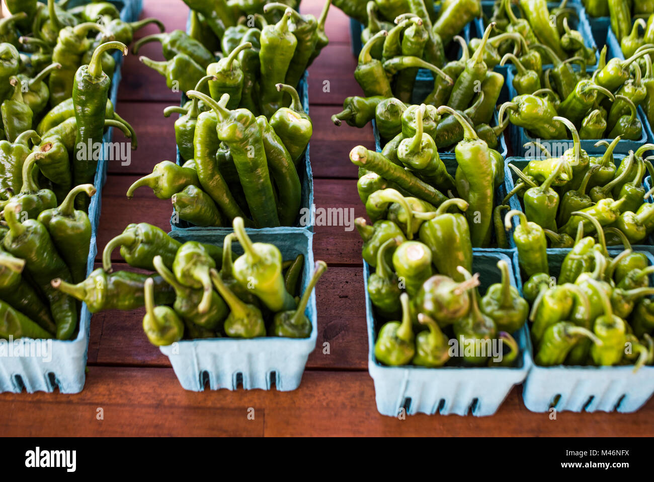 Cartons of Farm Fresh Shishito Peppers at Farm Stand. Stock Photo