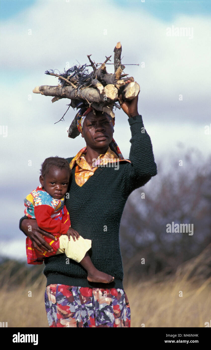 Zimbabwe Near Harare Woman With Baby Carrying Fire Wood On Head