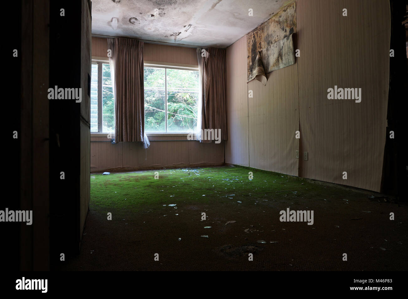 View From Doorway Into Room With Black Mold On The Ceiling