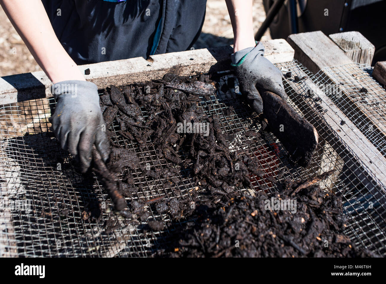 Sifting compost on a screen Stock Photo Alamy