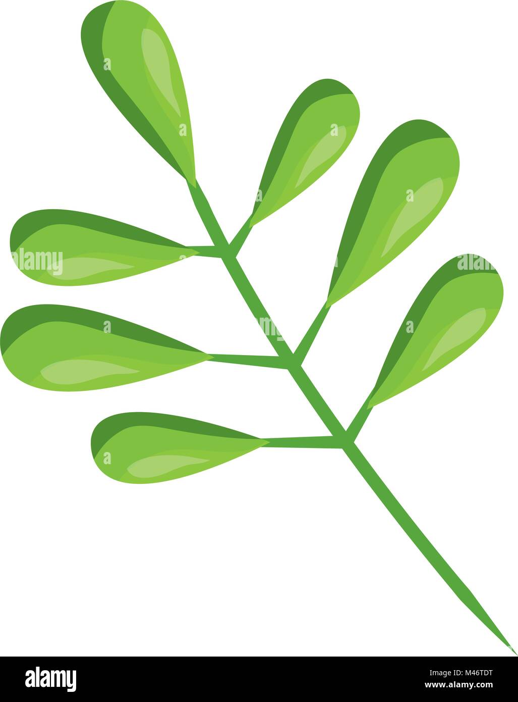 tree branch with green leaves plant natural vector illustration Stock ...