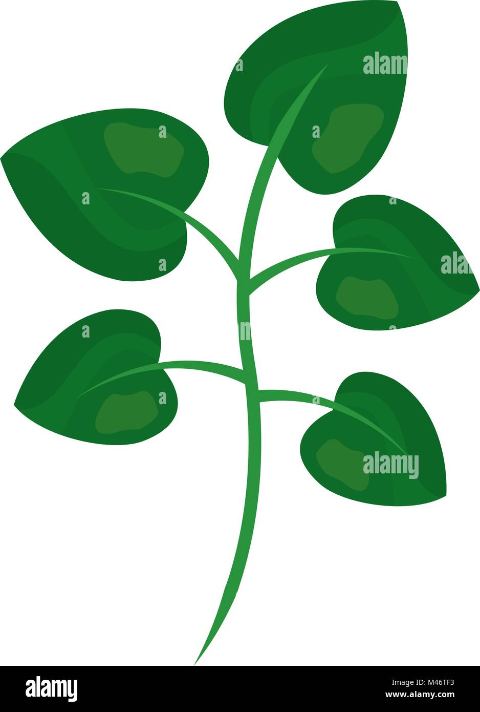 tree branch with green leaves plant natural vector illustration Stock ...