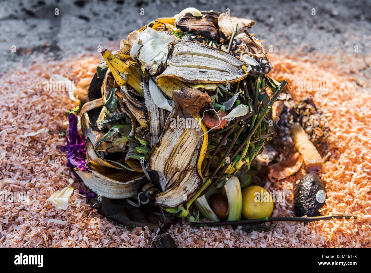 Kitchen scraps mixed with wood shavings. Stock Photo