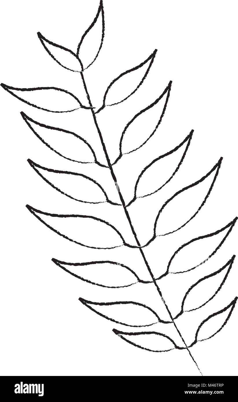 tree branch with green leaves plant natural Stock Vector Image & Art ...