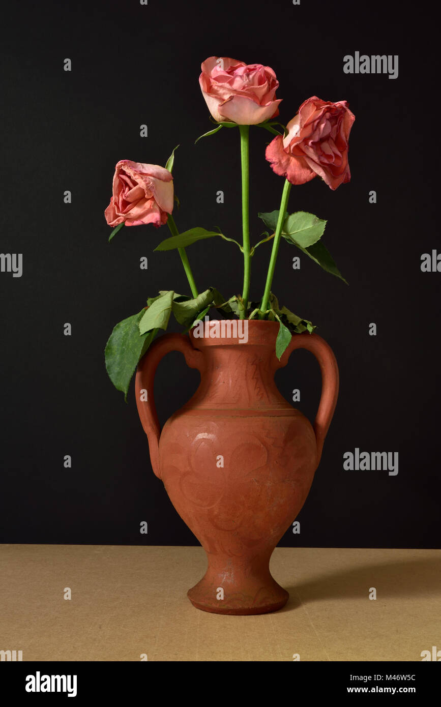 Faded Flowers In Vase High Resolution Stock Photography and Images Alamy