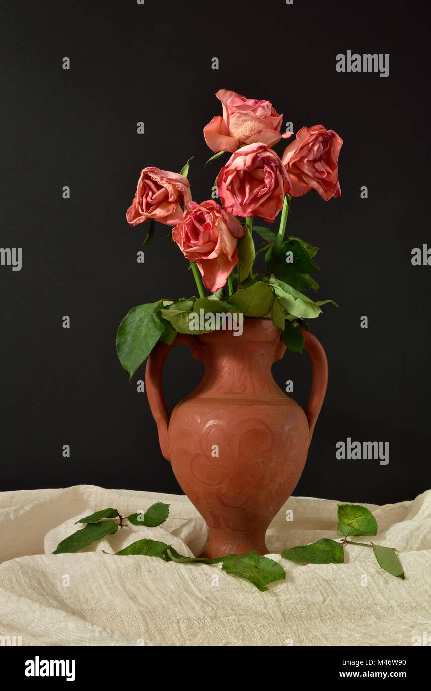 Five dying pink roses in a terracotta vase against a black background