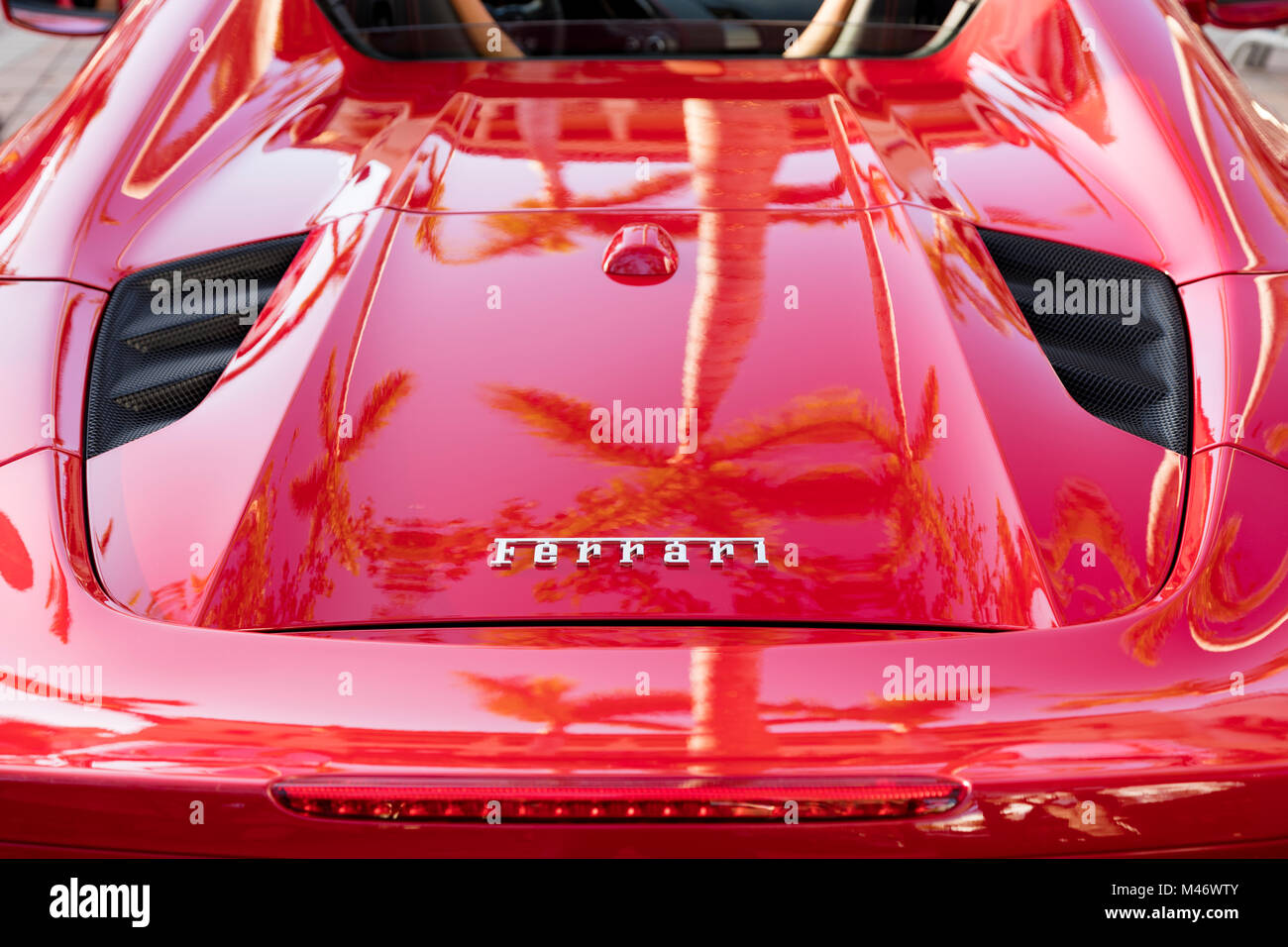 Red Ferrari 458 with palm tree reflection at 'Cars on 5th' autoshow, Naples, Florida, USA Stock Photo