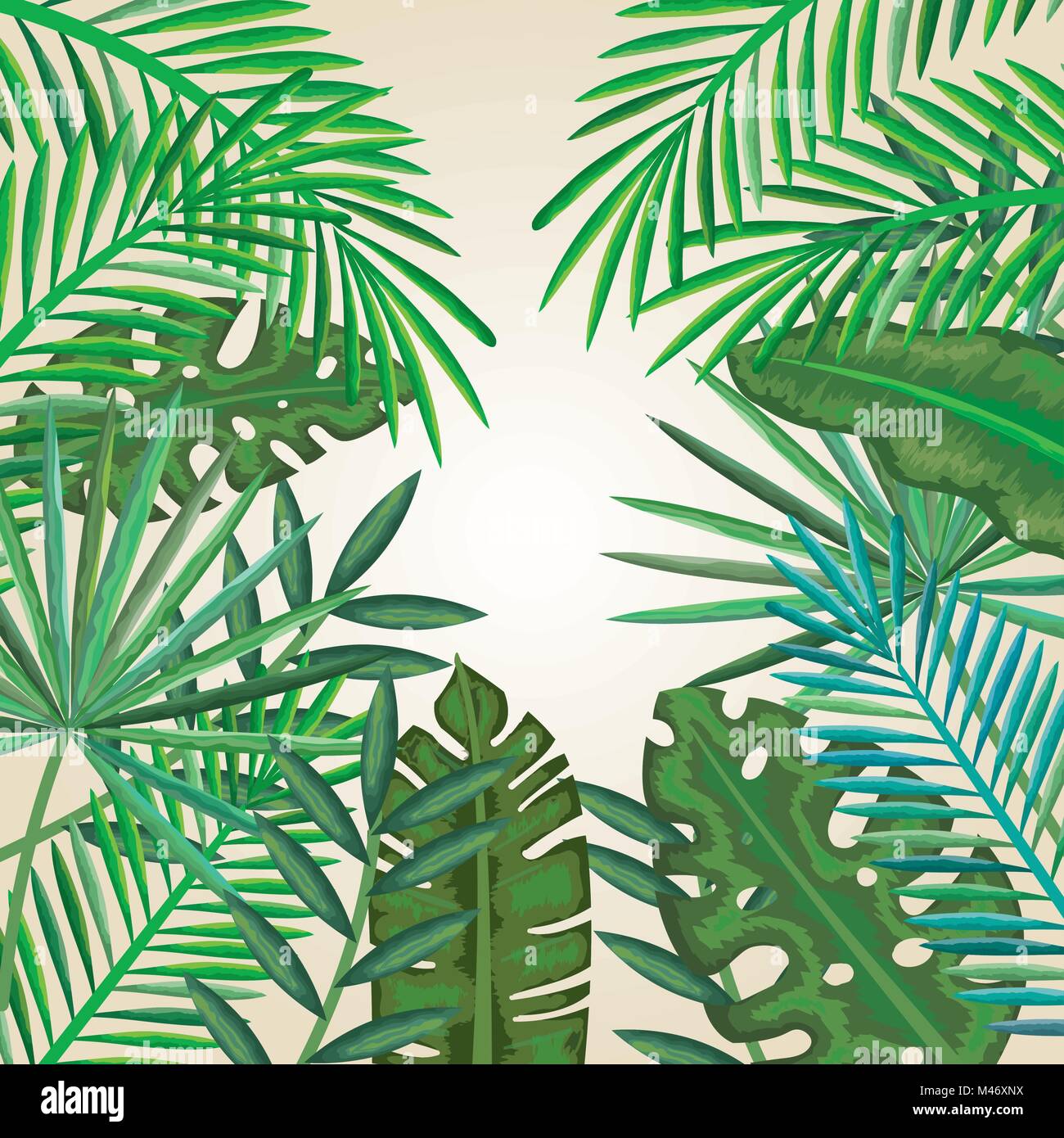 tropical and exotic palms leafs vector illustration design Stock Vector ...