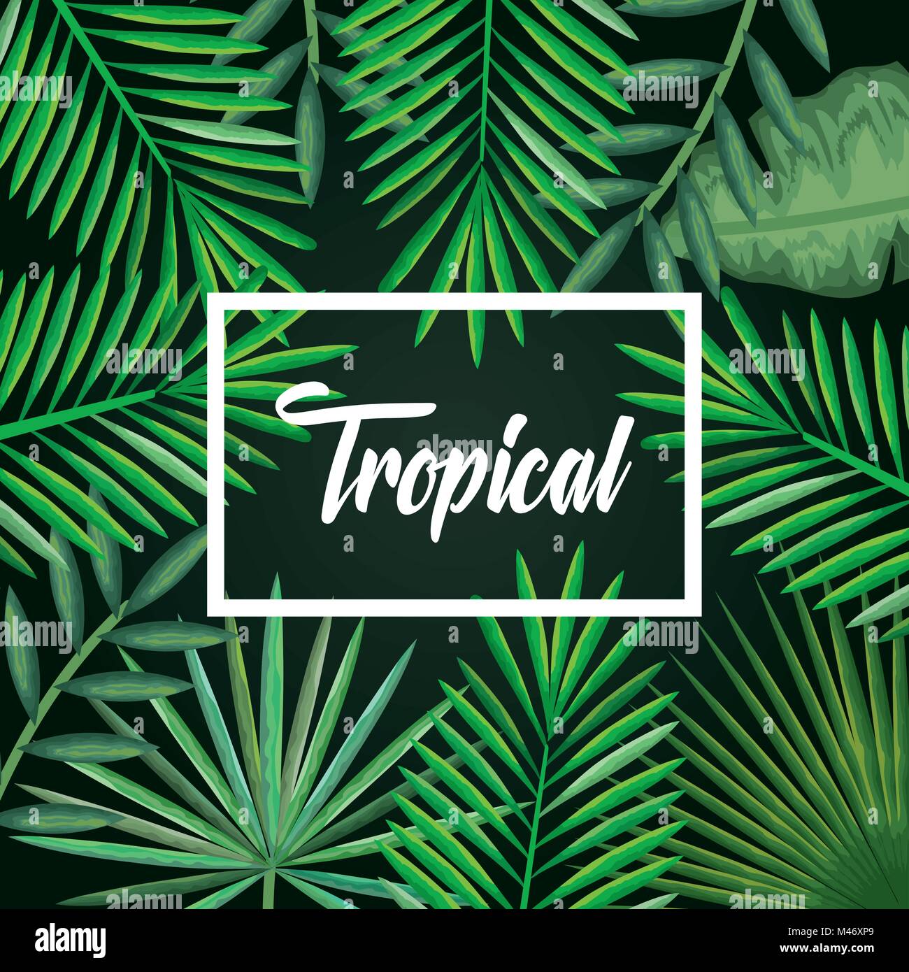 tropical and exotic palms leafs vector illustration design Stock Vector ...