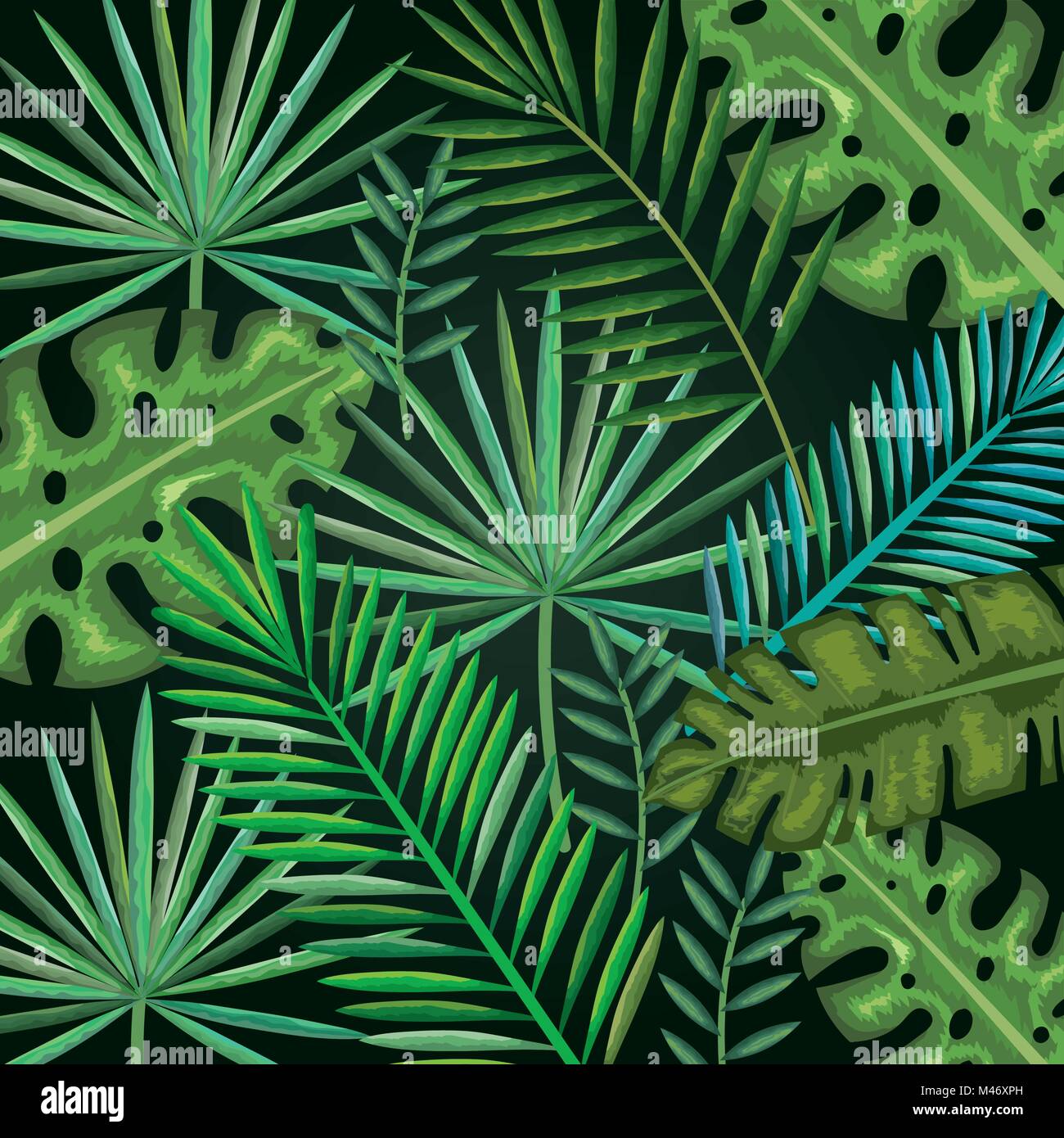 tropical and exotic palms leafs vector illustration design Stock Vector ...