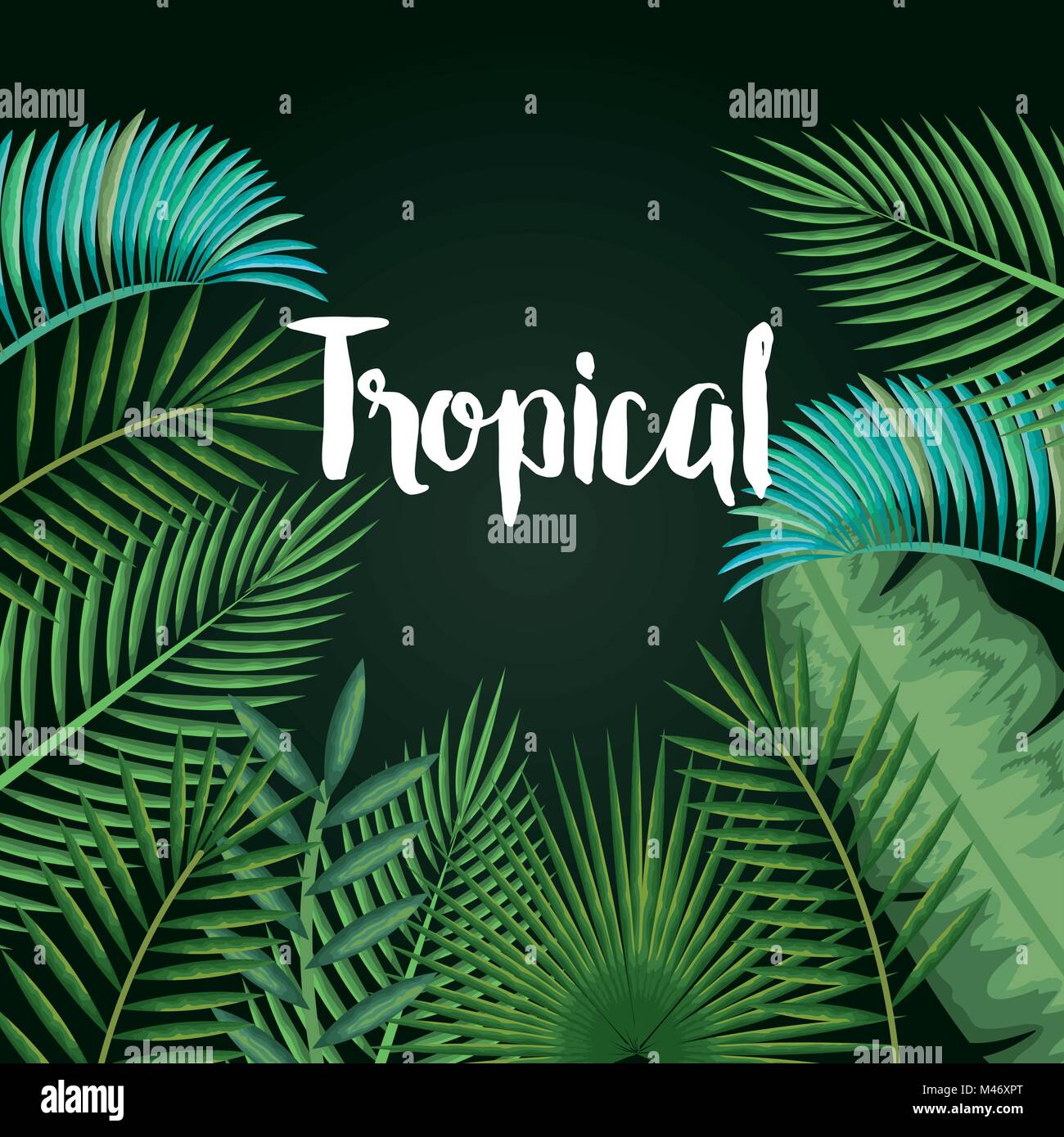 tropical and exotic palms leafs vector illustration design Stock Vector ...