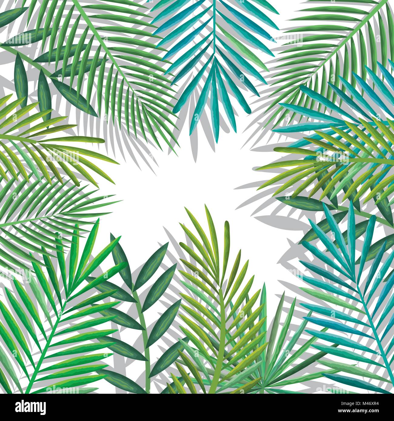 tropical and exotic palms leafs vector illustration design Stock Vector ...