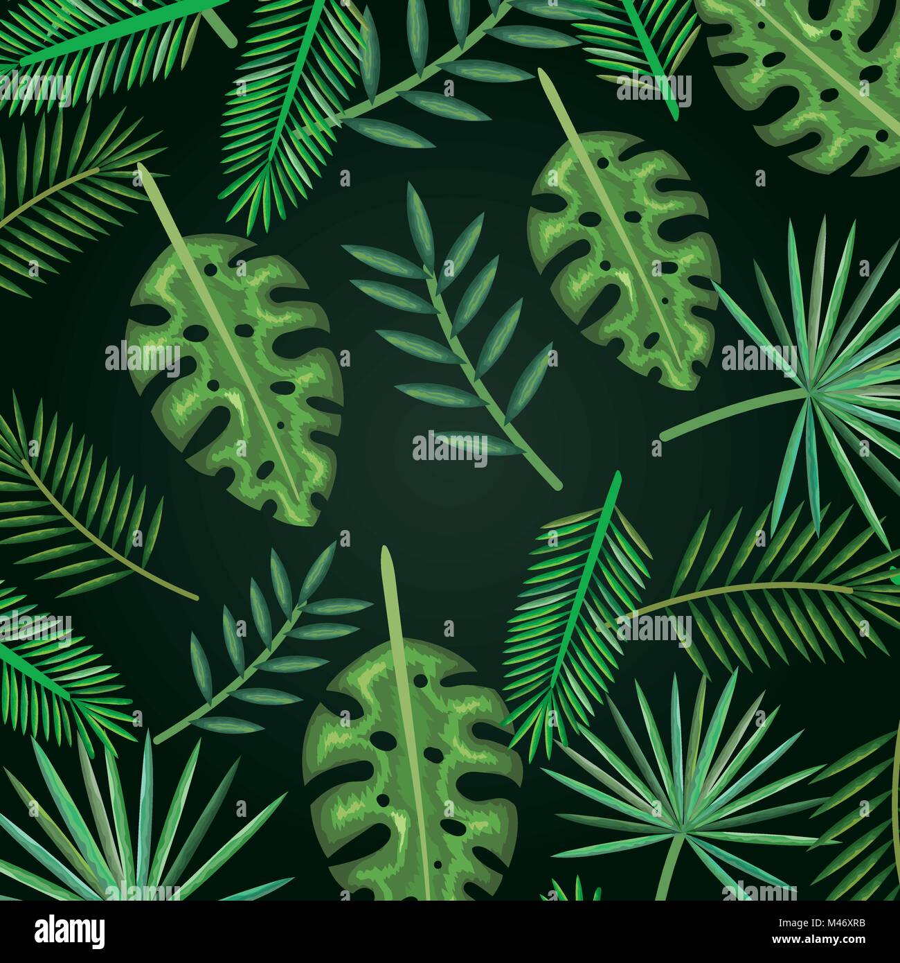 tropical and exotic palms leafs vector illustration design Stock Vector ...
