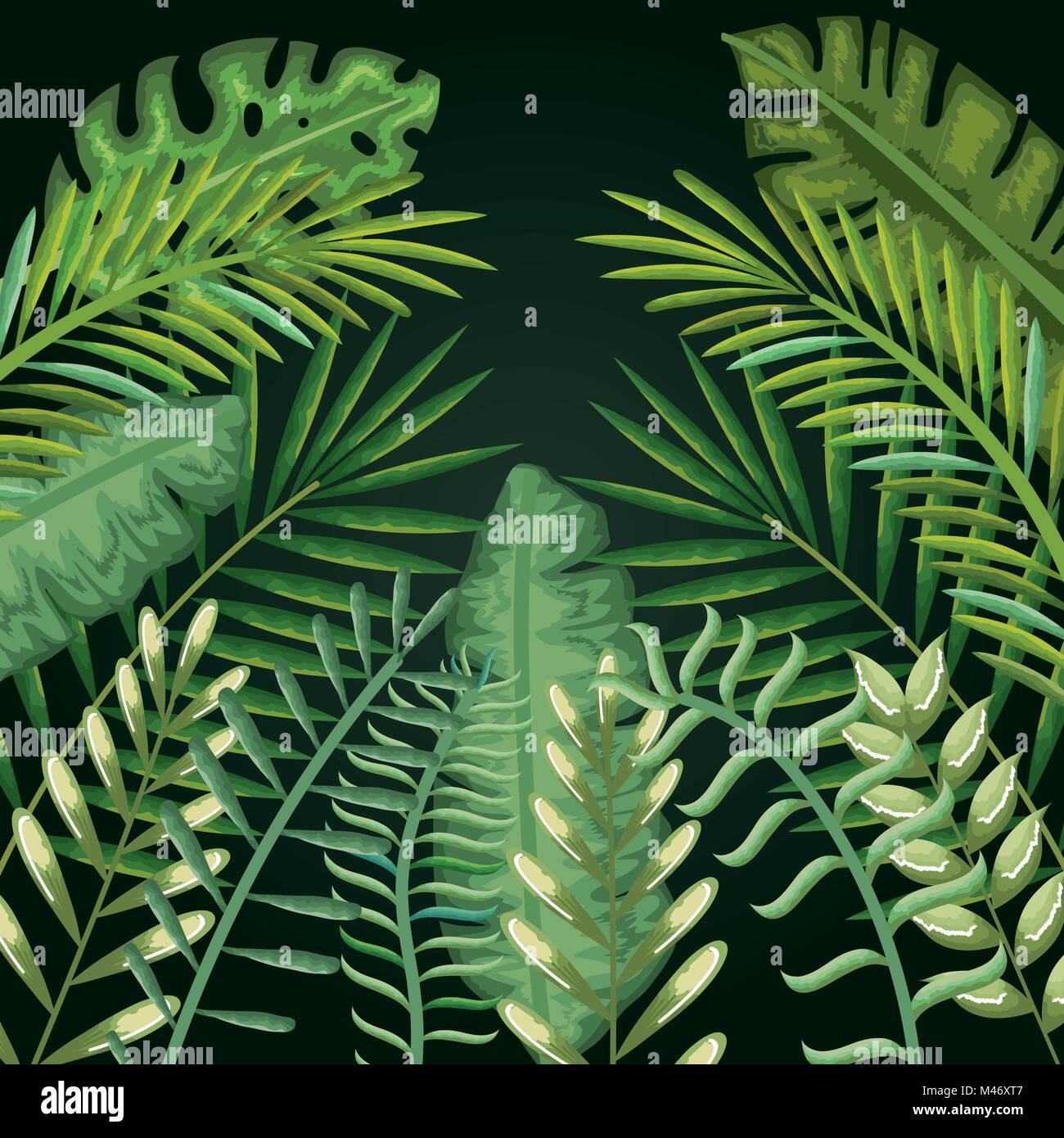 tropical and exotic palms leafs vector illustration design Stock Vector ...